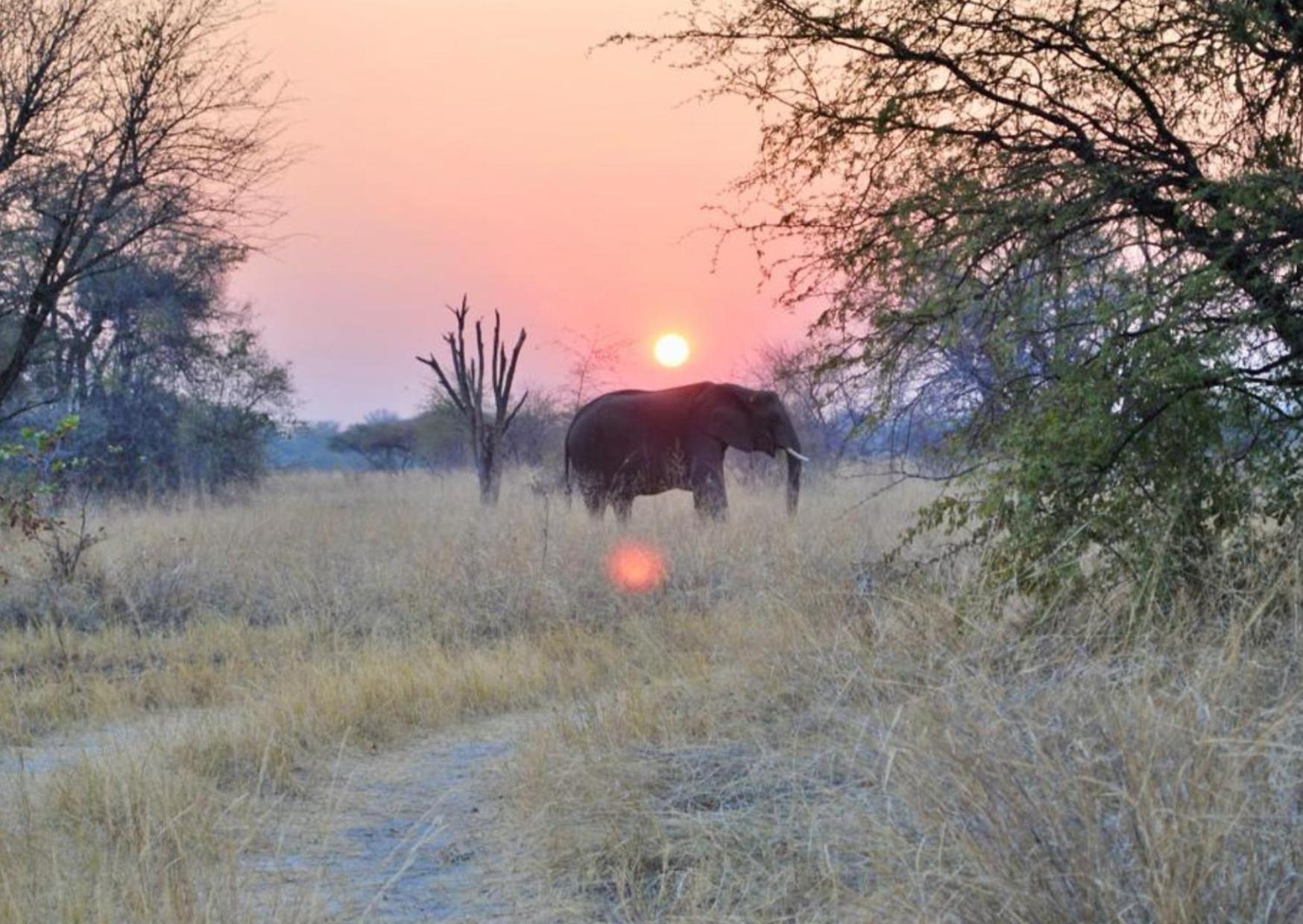 Villa Phazama Farm Maun Exterior foto
