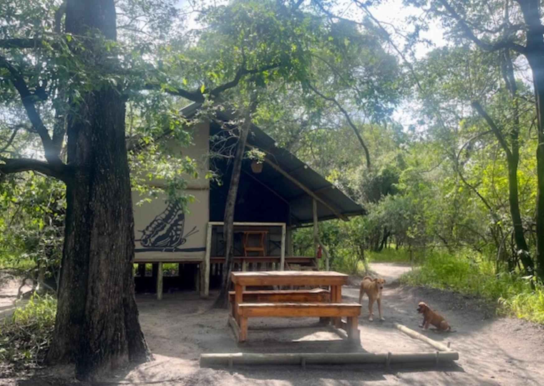 Villa Phazama Farm Maun Exterior foto